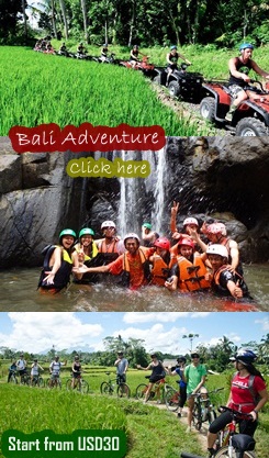bali tours