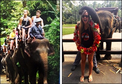 Bali Elephant Adventure Tours | Bali Elephant Trek Activities | Bali Tours