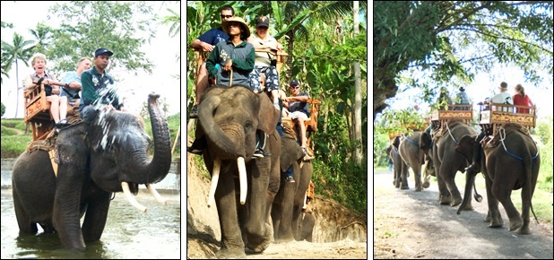 Bali Elephant Ride | Bali Tour Activities | Bali Adventure | Bali Elephant Camp | Bali Tours