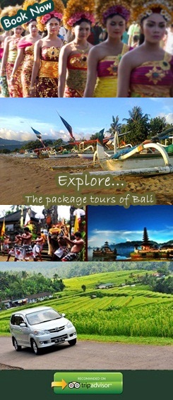 bali tour packages