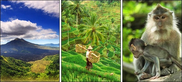 Bali Full Day Tours | Bali Tours