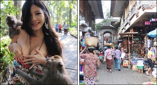 Bali Ubud Tours | Bali Tours